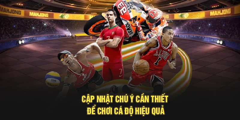Cập nhật chú ý cần thiết để chơi cá độ hiệu quả