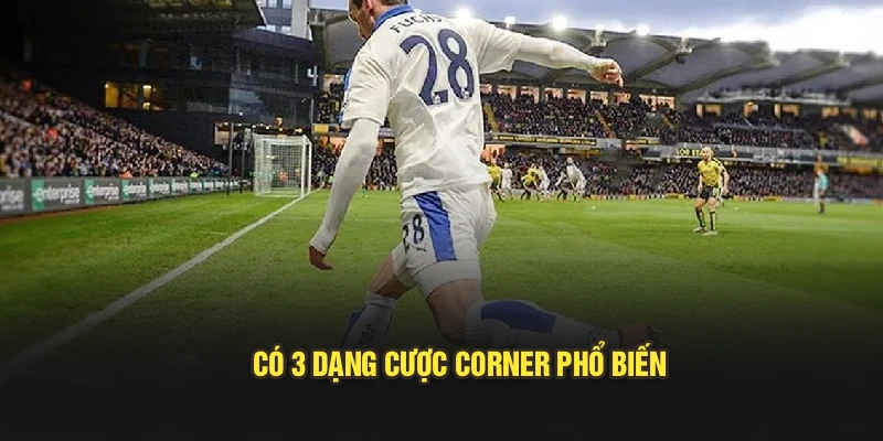 Có 3 dạng cược corner phổ biến