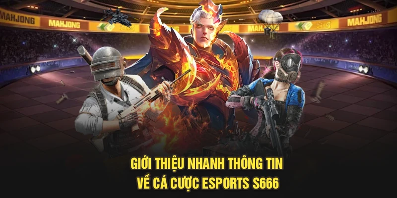 Giới thiệu nhanh thông tin về cá cược Esports S666