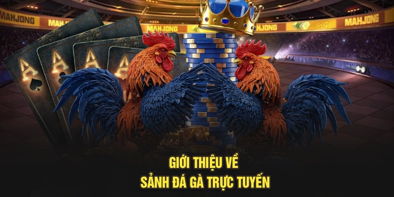 Giới thiệu về sảnh đá gà trực tuyến