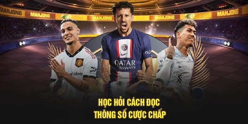 Học hỏi cách đọc thông số cược chấp