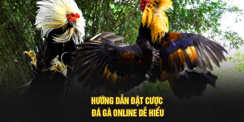 Hướng dẫn đặt cược đá gà online dễ hiểu