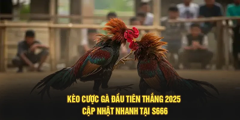 Kèo gà đầu tiên thắng mang lại trải nghiệm sôi động