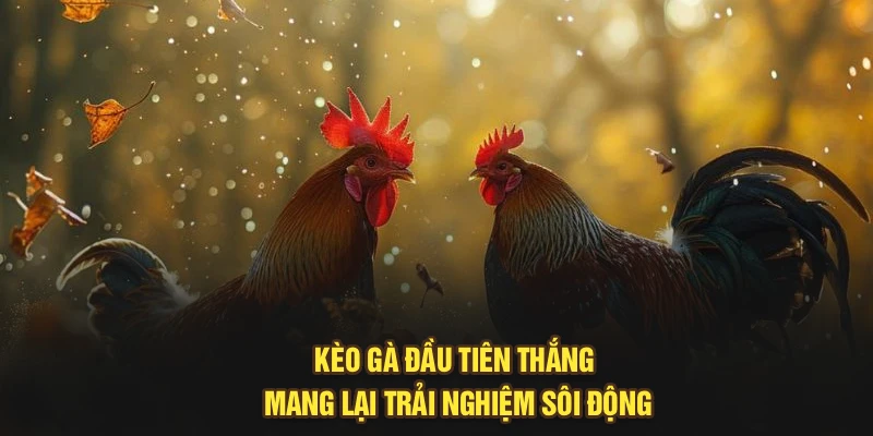 Kèo Cược Gà Đầu Tiên Thắng 2025 – Cập Nhật Nhanh Tại S666