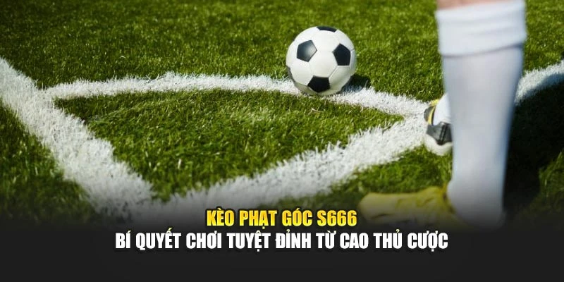 Kèo Phạt Góc S666 | Bí Quyết Chơi Tuyệt Đỉnh Từ Cao Thủ Cược