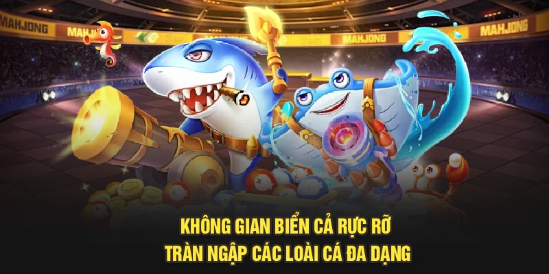 Không gian biển cả rực rỡ, tràn ngập các loài cá đa dạng