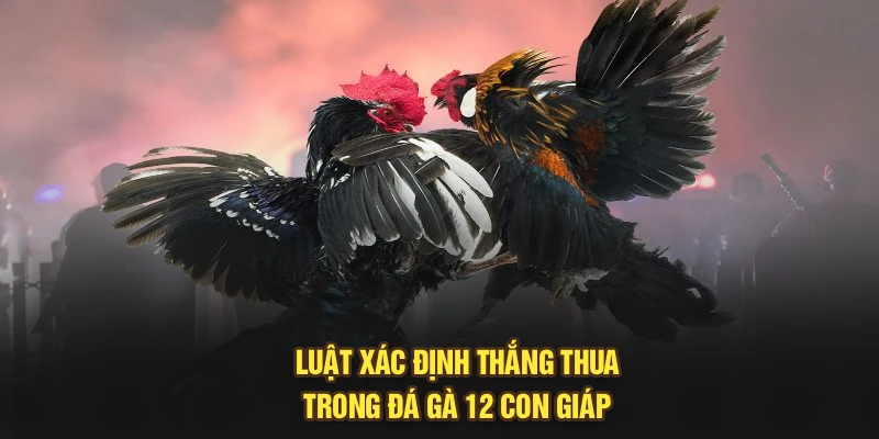 Luật xác định thắng thua trong đá gà 12 con giáp