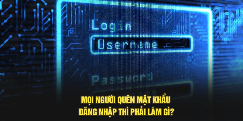 Mọi người quên mật khẩu đăng nhập thì phải làm gì?
