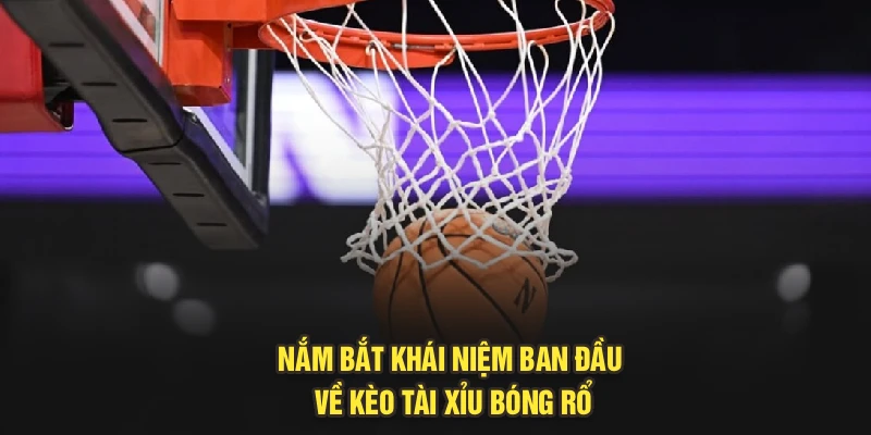 Nắm bắt khái niệm ban đầu về kèo tài xỉu bóng rổ