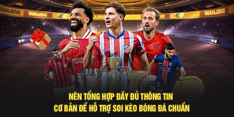 Nên tổng hợp đầy đủ thông tin cơ bản để hỗ trợ soi kèo bóng đá chuẩn
