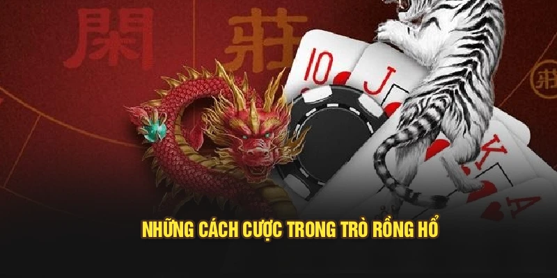 Những cách cược trong trò Rồng Hổ