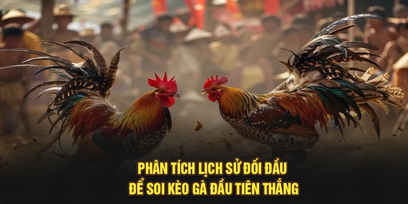 Phân tích lịch sử đối đầu để soi kèo gà đầu tiên thắng