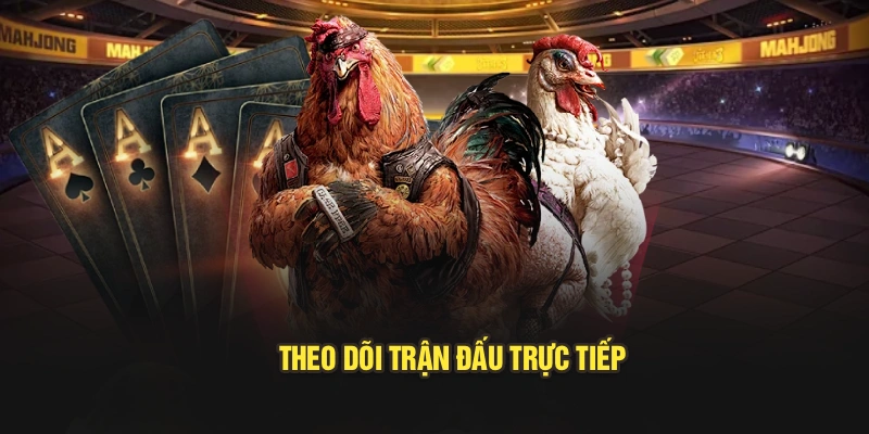 Theo dõi trận đấu trực tiếp