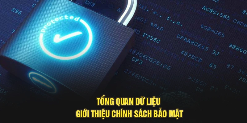 Tổng quan dữ liệu giới thiệu chính sách bảo mật