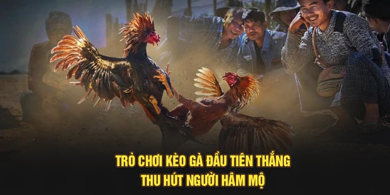 Trò chơi kèo gà đầu tiên thắng thu hút người hâm mộ